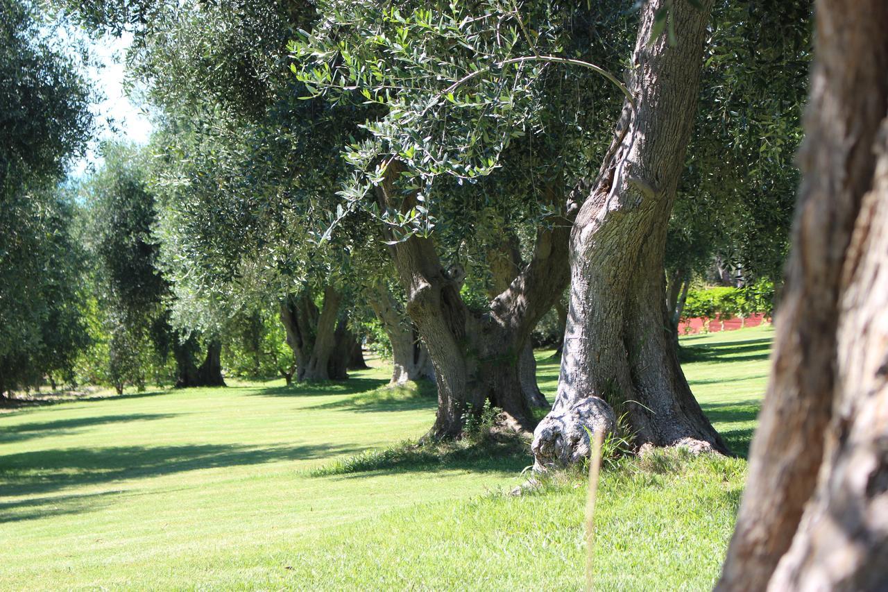 Villaggio Uliveto Rodi Garganico Buitenkant foto
